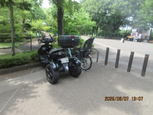 IMG_3787