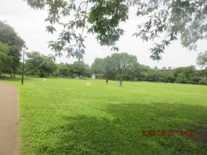 IMG_3790