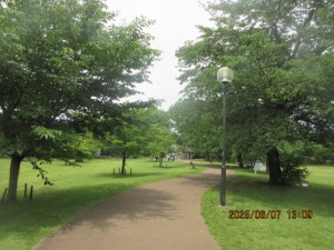 IMG_3791