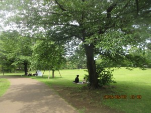 IMG_3793