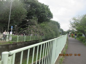 IMG_3800