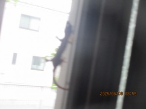 IMG_3804