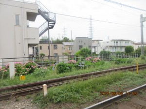 IMG_3815