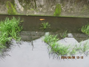 IMG_3821
