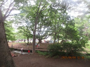 IMG_3824