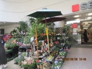 IMG_3846