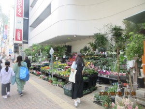 IMG_3847