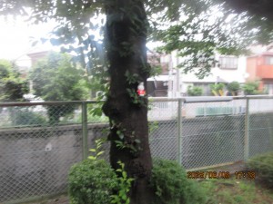 IMG_3866
