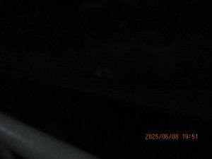 IMG_3871