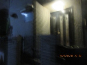 IMG_3886