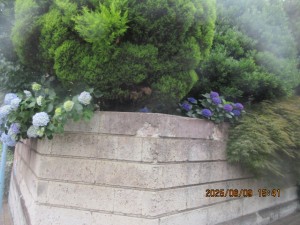 IMG_3896