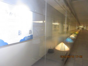 IMG_3934