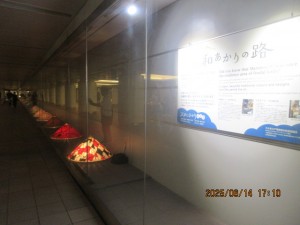 IMG_3935