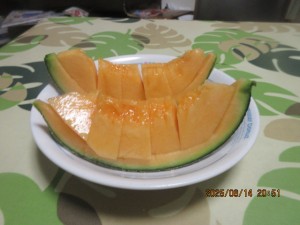 IMG_3945