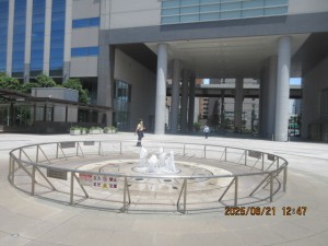IMG_3997