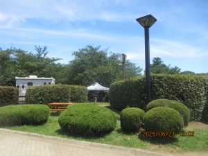 IMG_4006