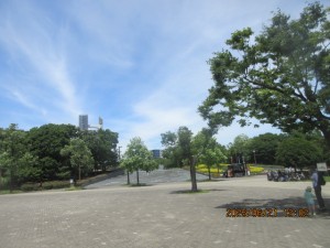 IMG_4008