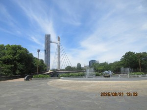 IMG_4010