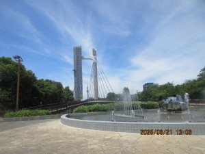 IMG_4011