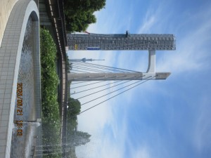 IMG_4012