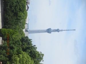 IMG_4017