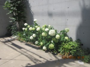 IMG_4053