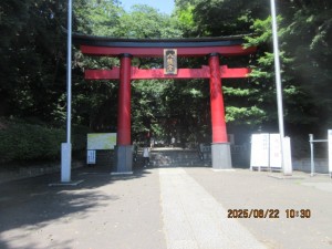 IMG_4056