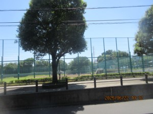IMG_4059