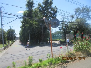 IMG_4060