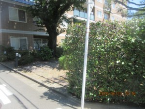 IMG_4071
