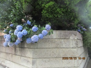 IMG_4080