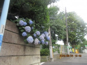 IMG_4091