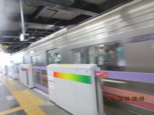 IMG_4103