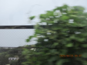 IMG_4131