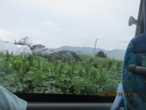 IMG_4160