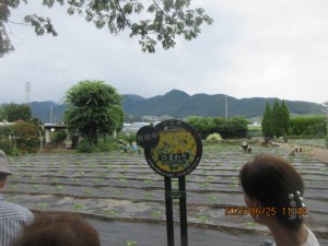 IMG_4179