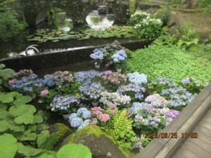 IMG_4190
