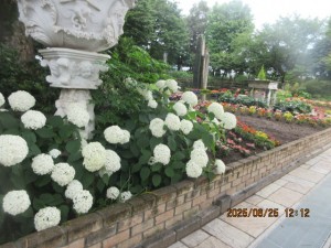 IMG_4204
