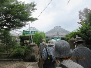 IMG_4208