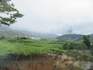 IMG_4222