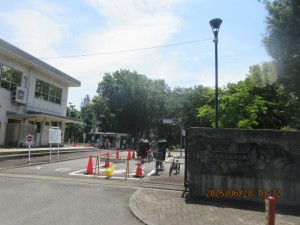 IMG_4287