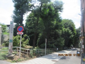 IMG_4301