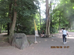 IMG_4311