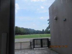 IMG_4315