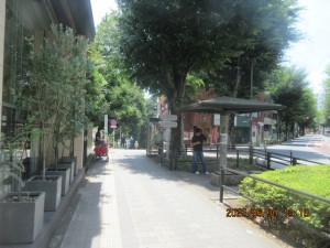 IMG_4335