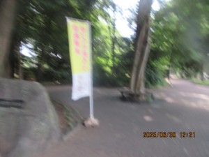 IMG_4342