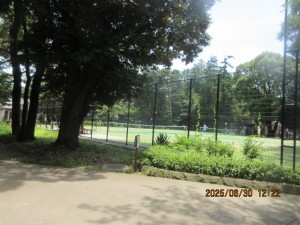 IMG_4344