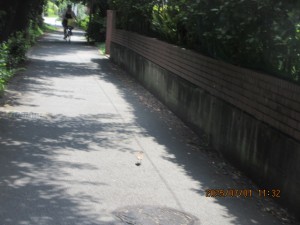 IMG_4355