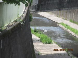 IMG_4357