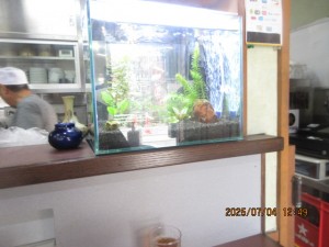 IMG_4367